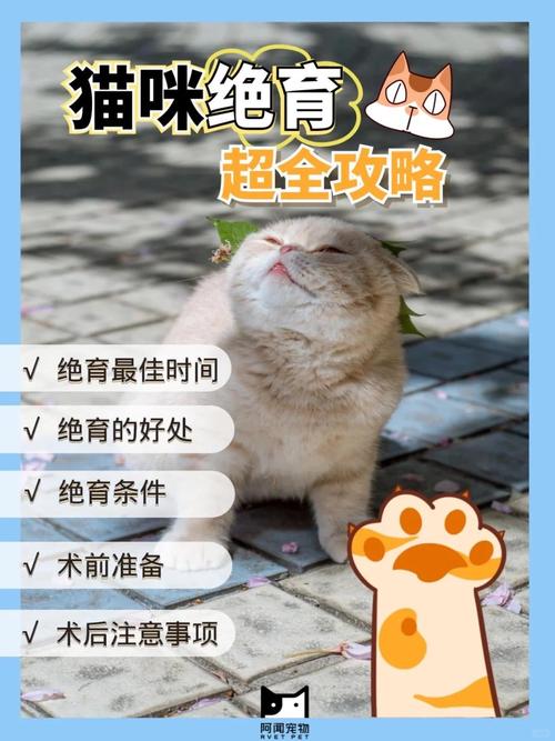 养了两年的猫还可以做绝育么?多久可以做绝育?
