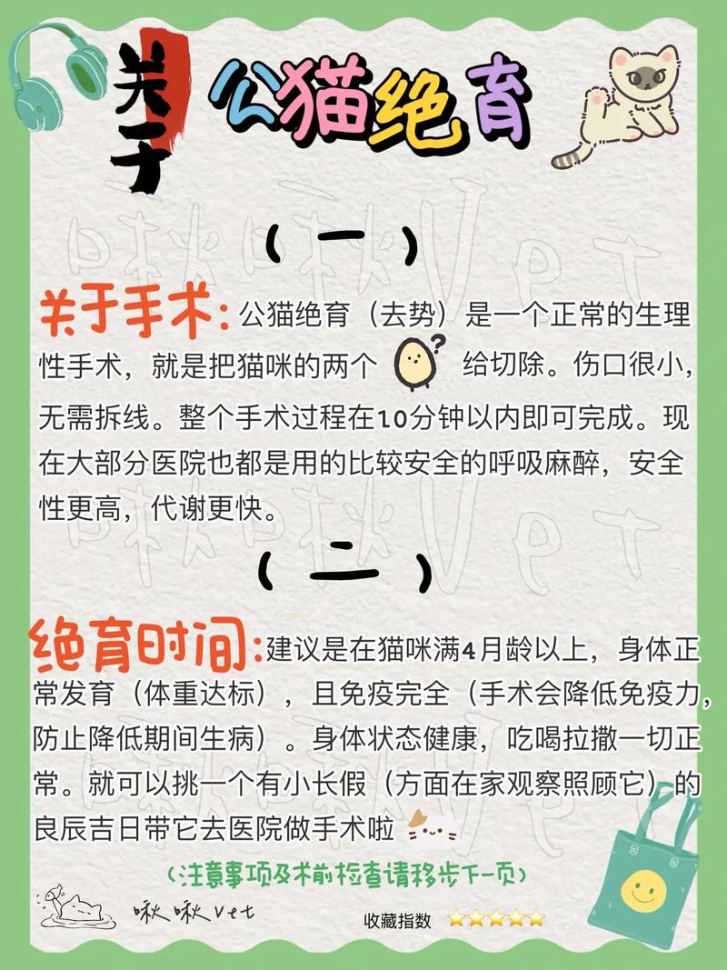 猫咪生产完后什么时候能做绝育手术