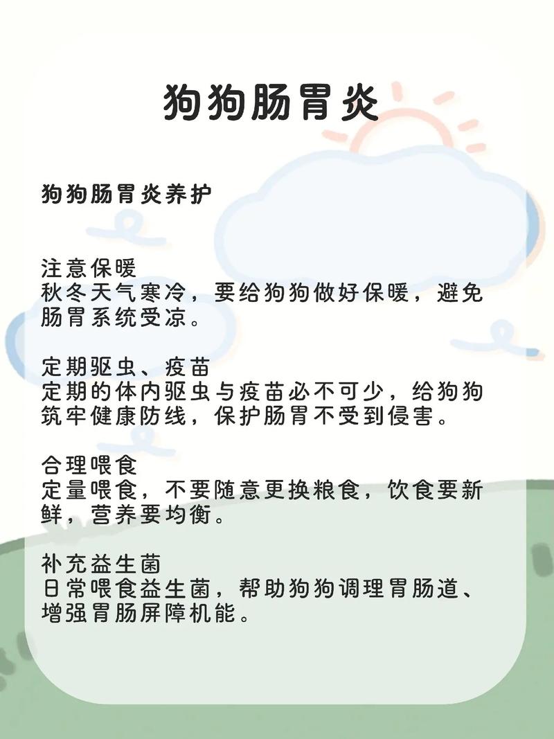 狗狗肠炎怎么治，狗狗肠炎怎么治疗？