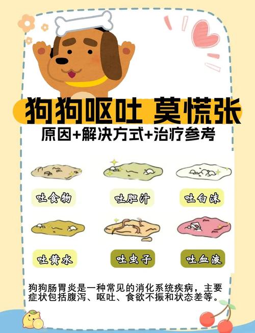狗慢性肠炎怎么治疗?吃什么药好