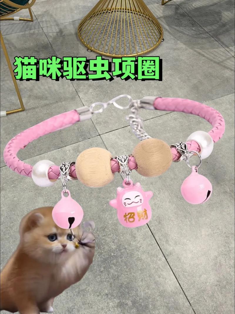 猫咪可以带项圈吗，猫能不能戴项圈？