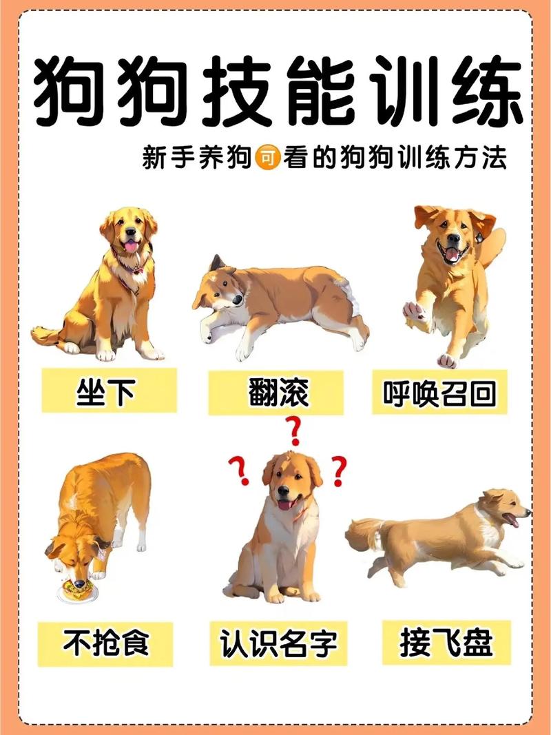 怎么让狗狗开心起来