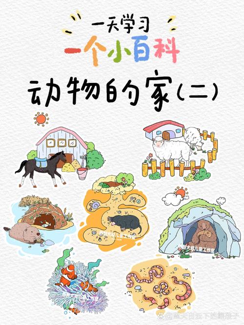 100个动物的家的名称，100个动物的家的名称有哪些
