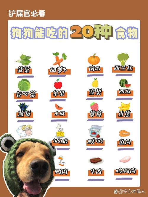 两个月的狗狗能吃什么零食