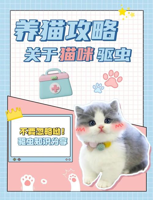猫咪要多久做一次驱虫