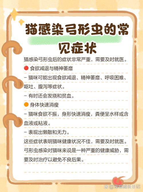 猫感染弓形虫会有什么症状