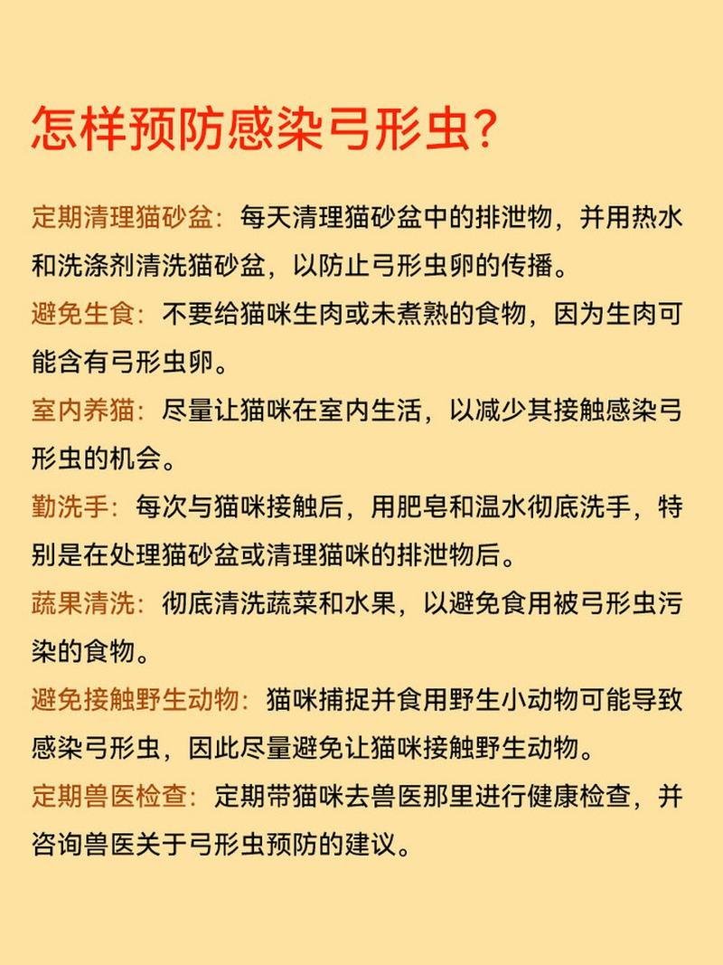 猫咪的弓形虫的表现