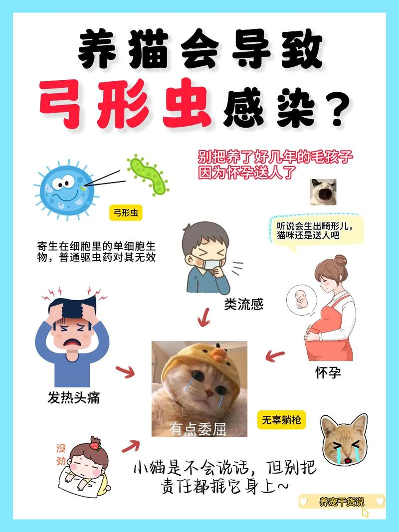 猫弓形虫症状