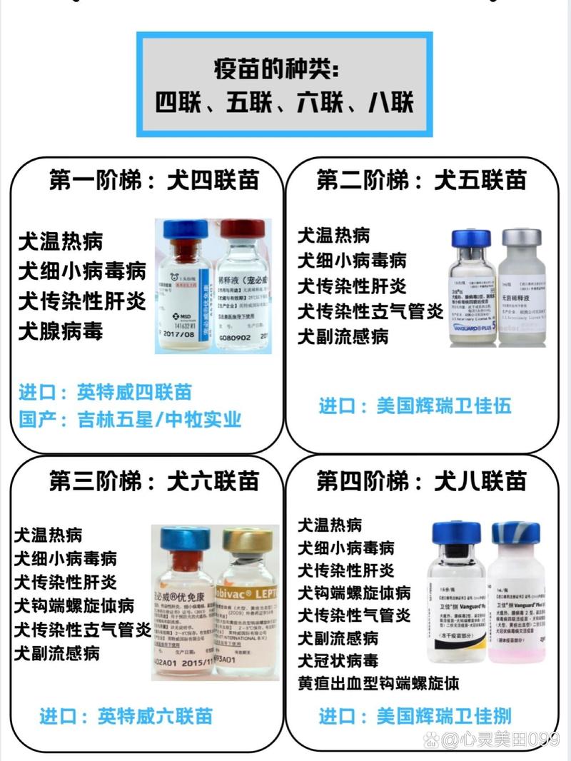 狗狗打四联就够了吗