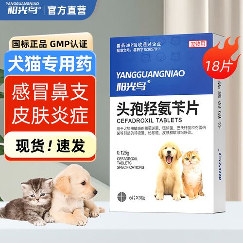 狗狗呼吸道感染吃什么药?