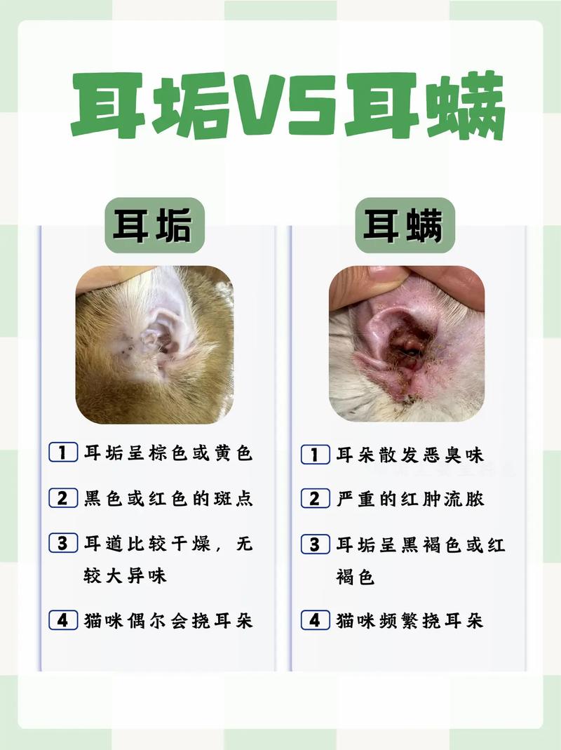 猫咪耳朵有耳螨怎么治疗?