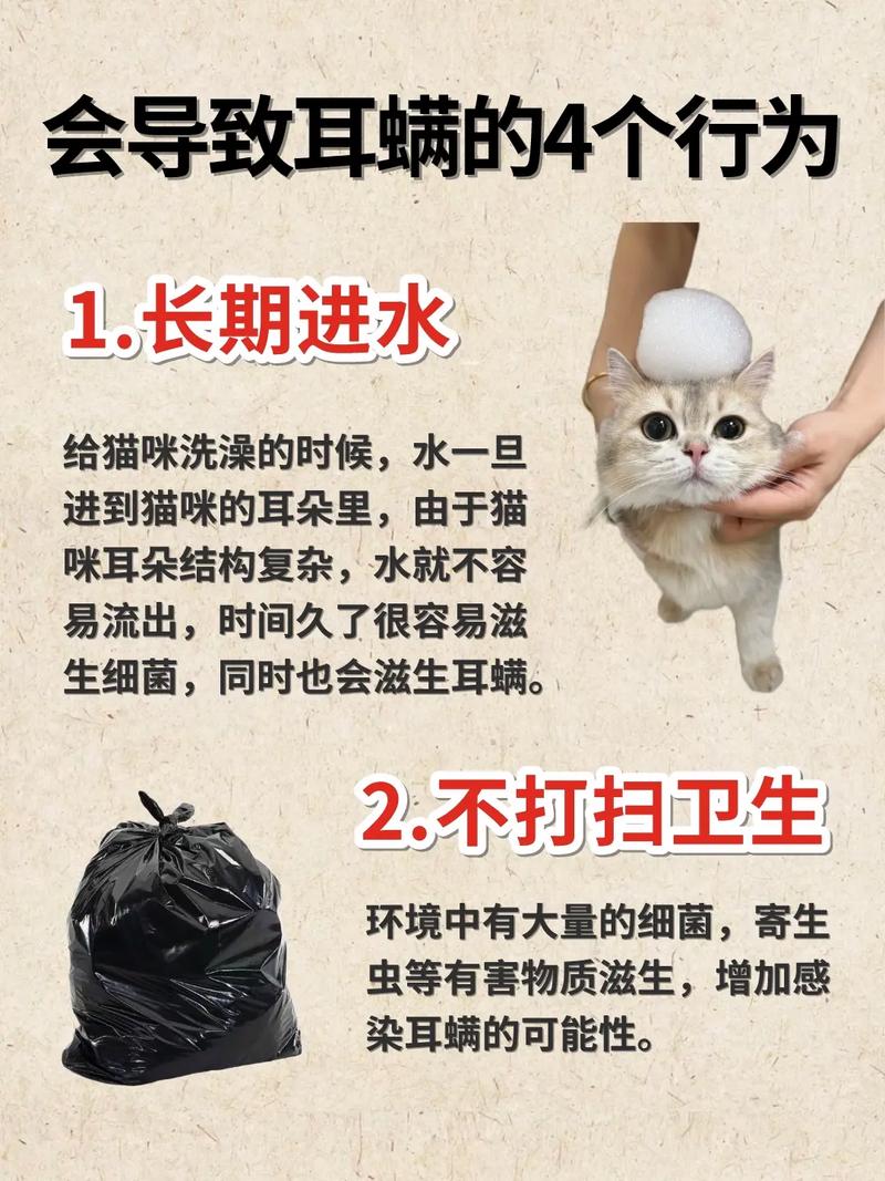 猫咪去耳螨用什么药比较好
