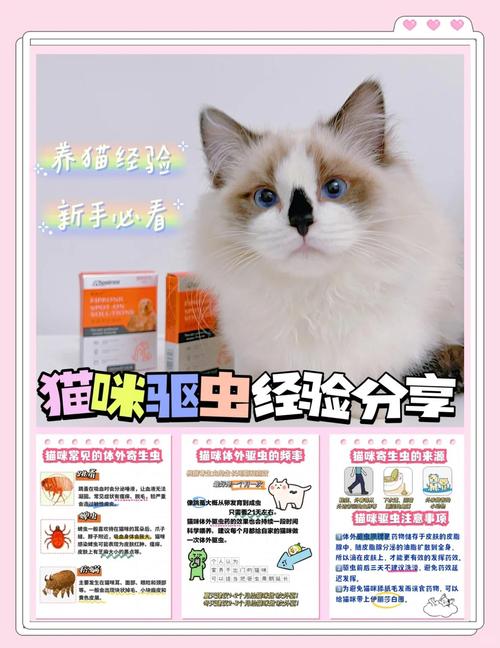 猫体外驱虫多久做一次