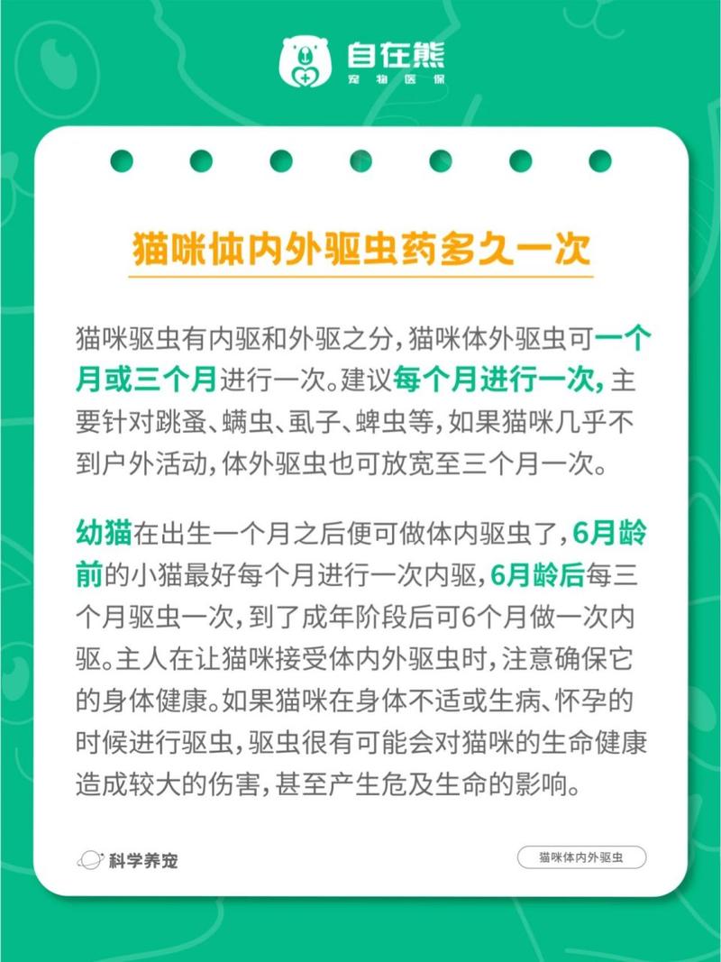 猫咪要多久驱虫一次
