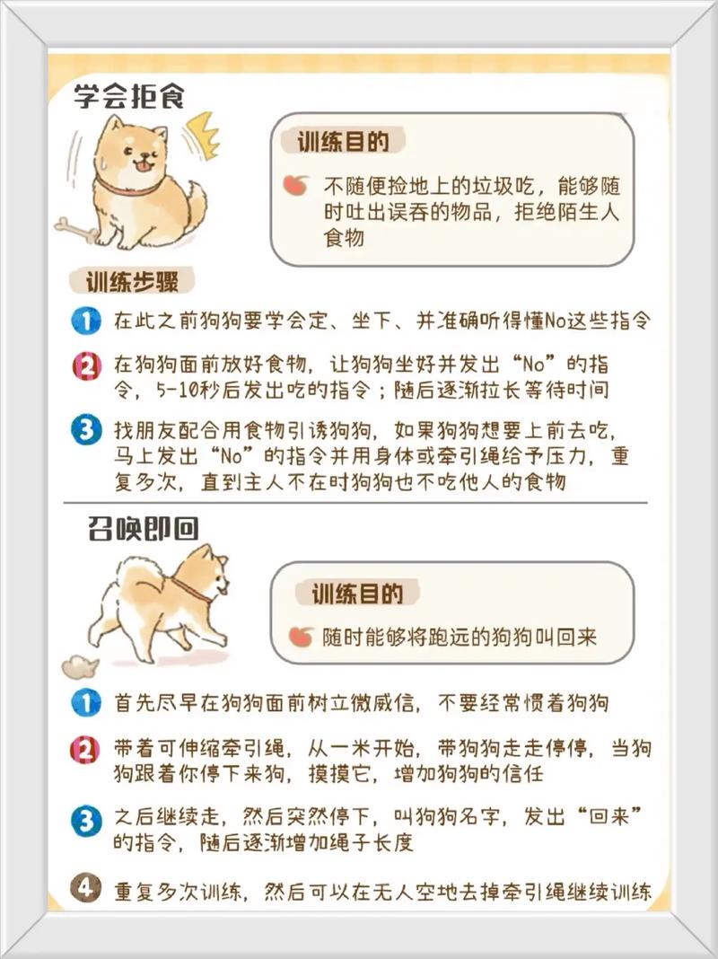 狗狗应该学会的好习惯有哪些?
