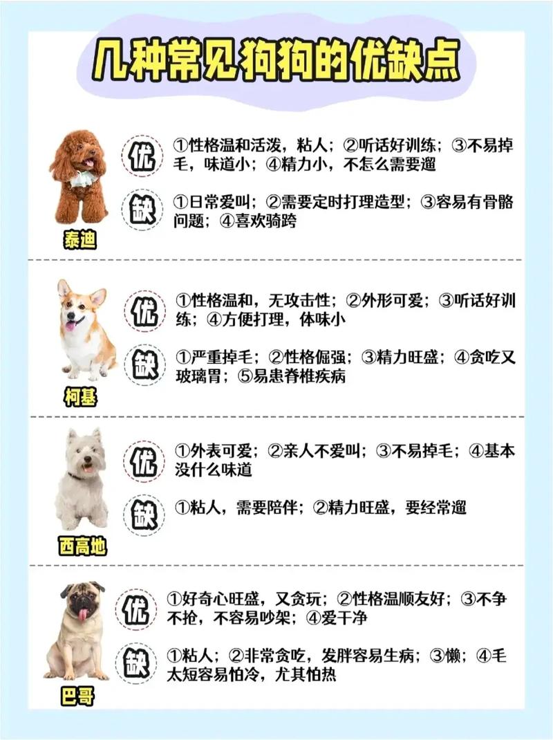 狗的习性和生活习惯