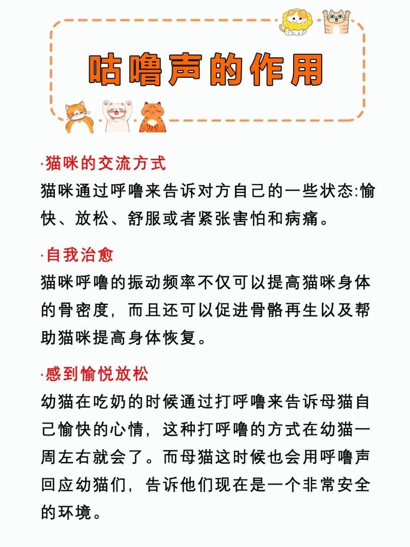 猫咪咕噜咕噜的原因？猫咪咕噜咕噜的原因？