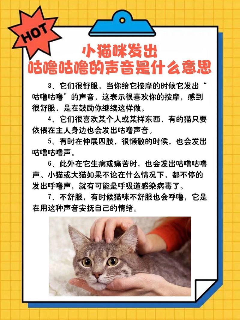 猫咪为什么会发出咕噜声音?