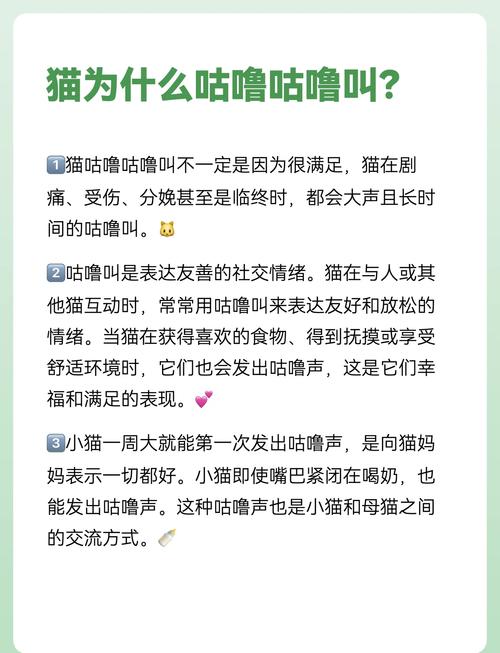 猫猫一直咕噜咕噜是什么原因