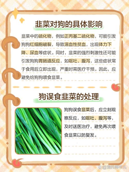 狗狗吃了少量韭菜怎么办