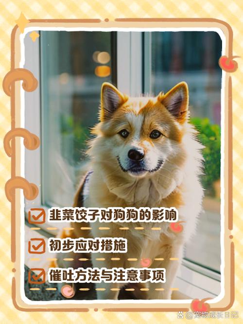 狗狗吃了3个韭菜饺子怎么办