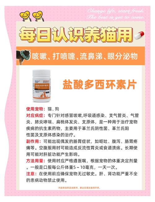 小猫感冒可以吃什么药?