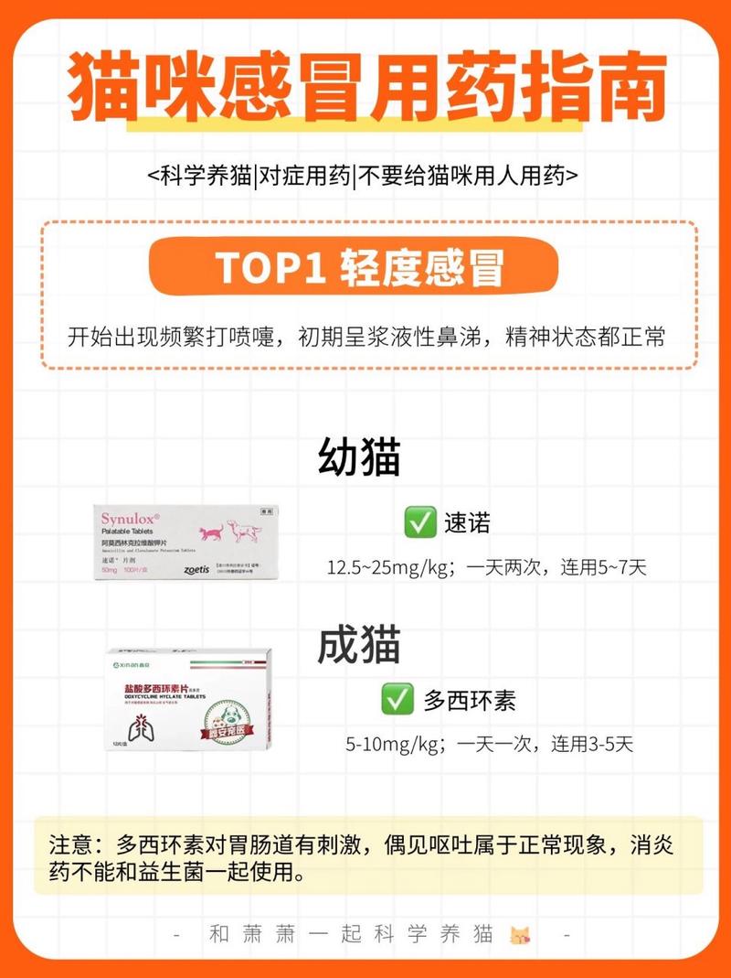 猫咪感冒了能吃人的感冒药么?