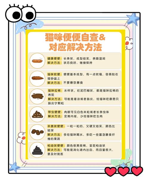 猫咪拉不出屎怎么办，猫咪拉不出来屎怎么解决