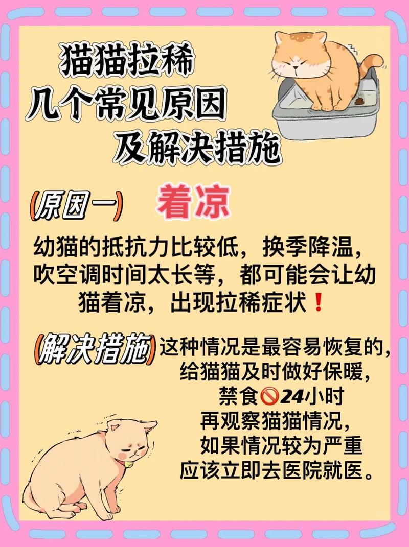 猫咪拉不出屎怎么办
