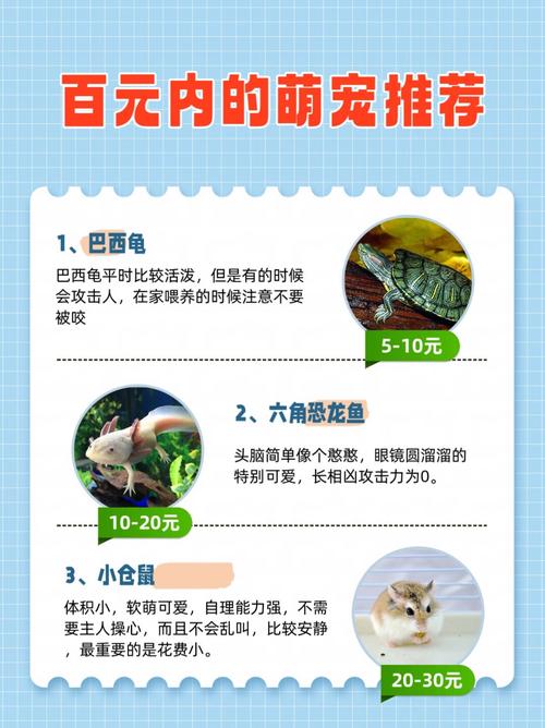 宠物小精灵里的所有神奇宝贝的名字(包括1.2.3部
