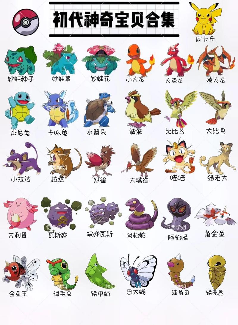 哪些品种的宠物仓鼠可爱又乖巧?