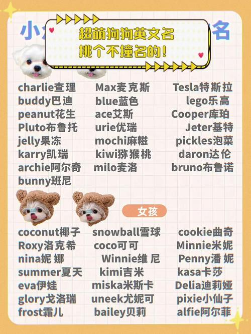 狗狗名字英文名女？狗狗时髦好听英文名字女？