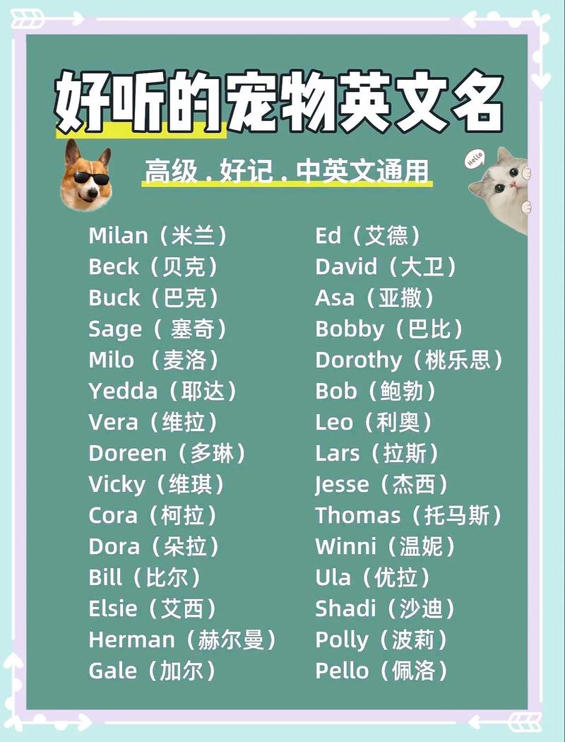 给狗起什么英文名