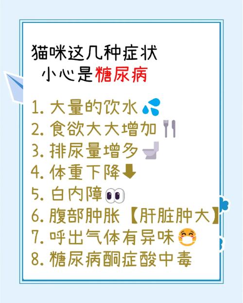 猫咪低血糖症状表现，猫低血糖症状及并发症