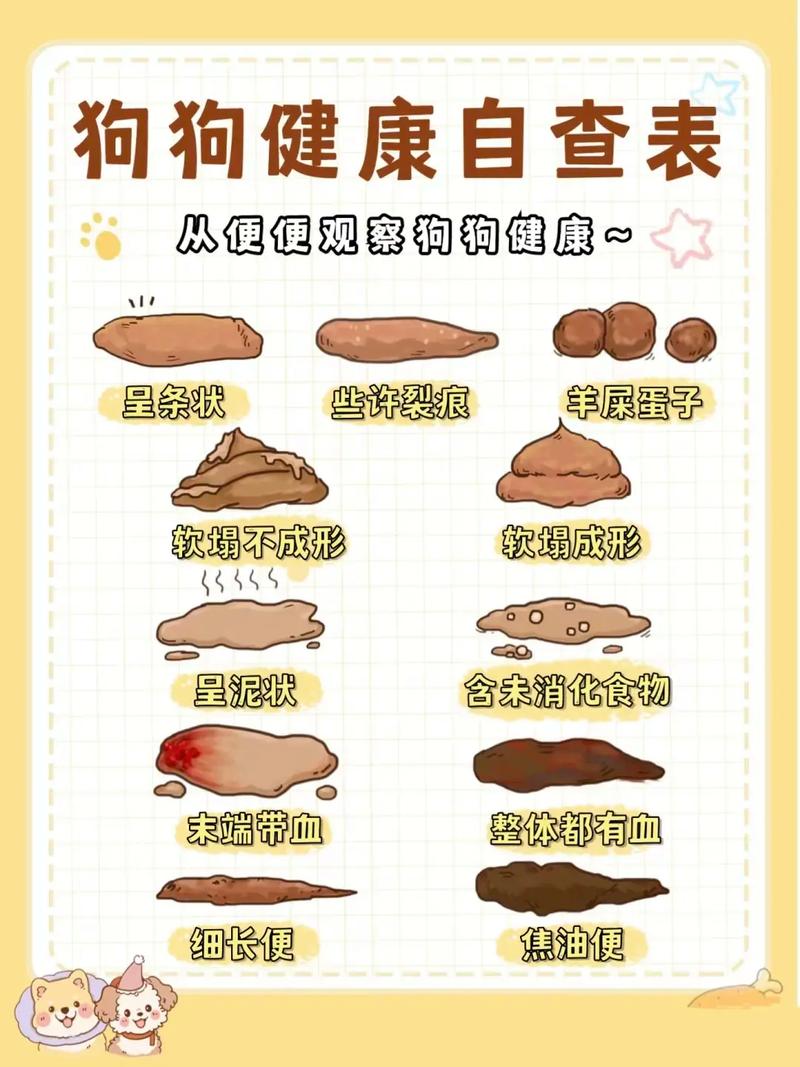 小狗拉稀能吃诺氟沙星吗?