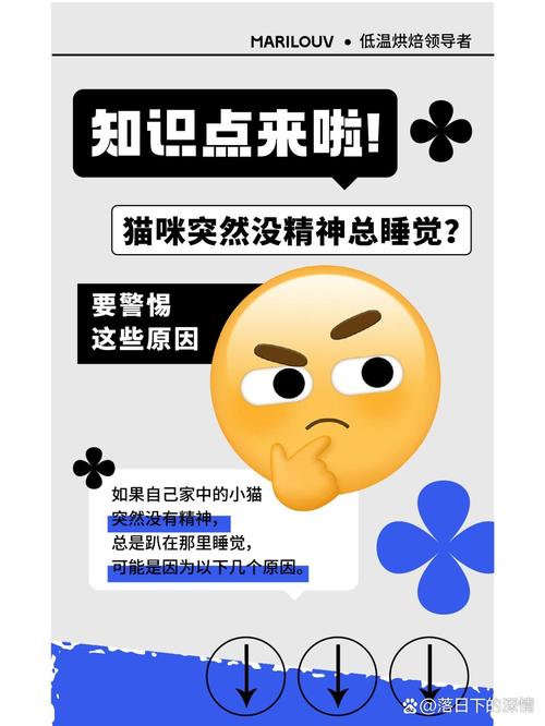 猫咪摔伤后嗜睡怎么回事?