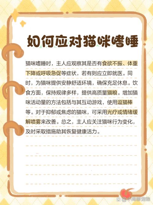 猫咪突然嗜睡不吃东西是怎么了?