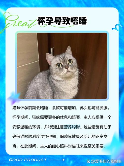 急急急!我家的吉娃娃才2个月,就得了犬瘟。求帮助,怎么样才能熬过去阿...