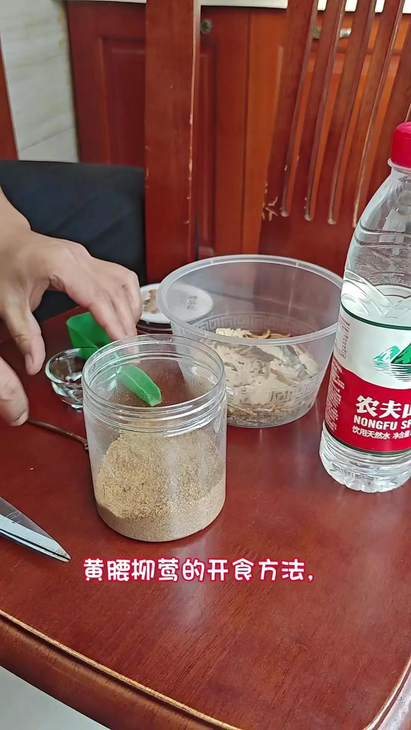 柳莺鸟吃什么?