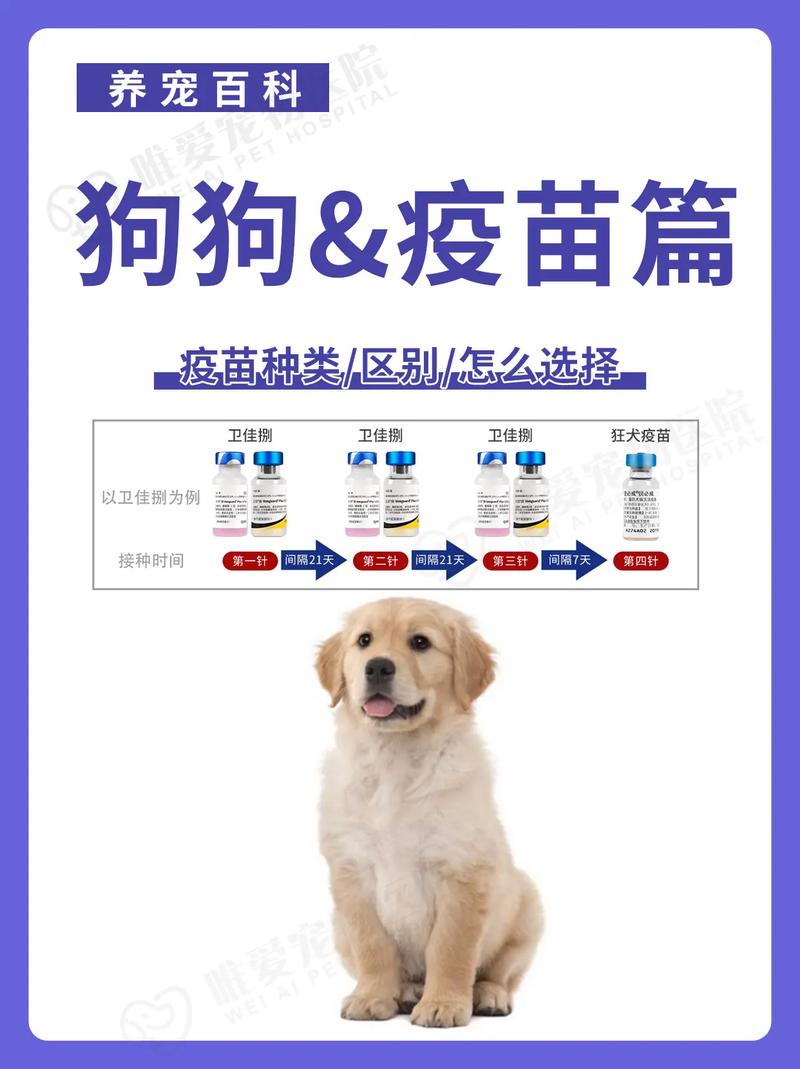 狗什么时候打疫苗