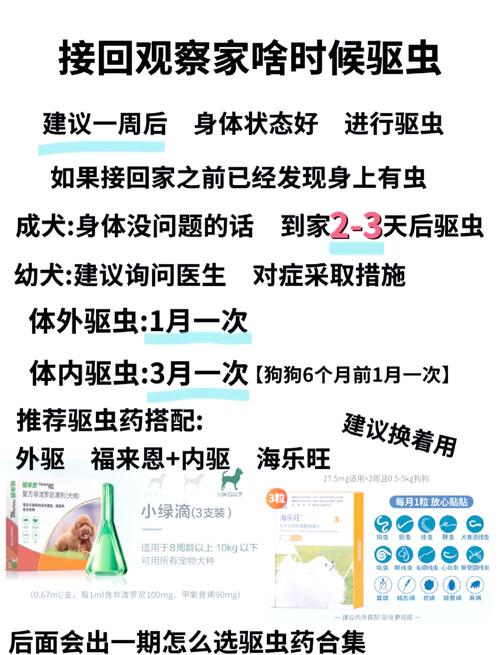 狗狗什么时候打疫苗和驱虫