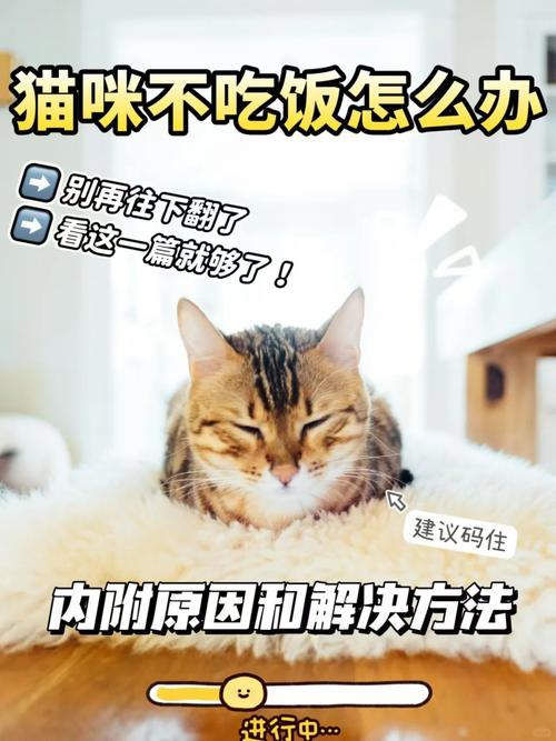 猫咪快1岁了,食欲下降,瘦了,什么原因啊?