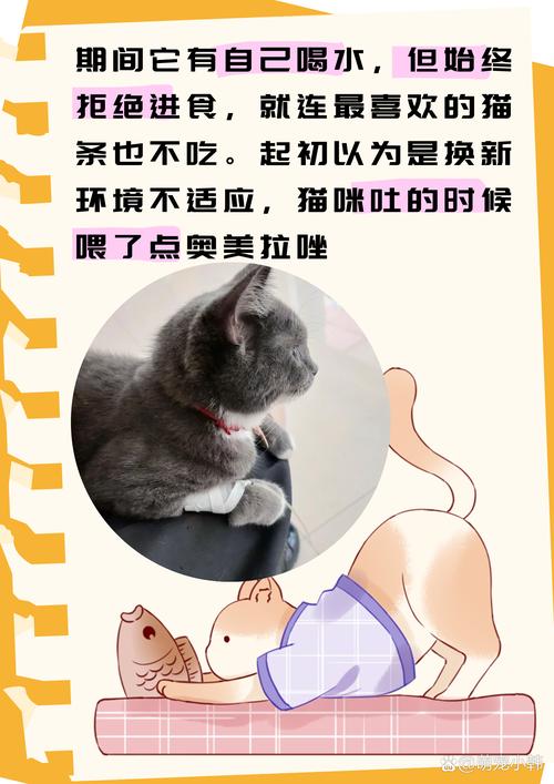 春天猫咪为什么食欲下降
