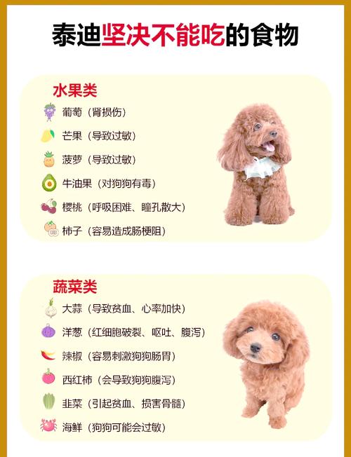 狗狗能吃鲜虾吗?为什么?