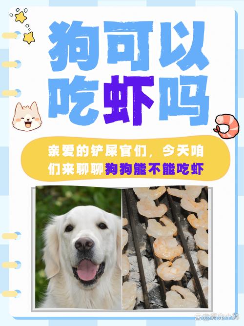 狗狗能吃虾肉吗