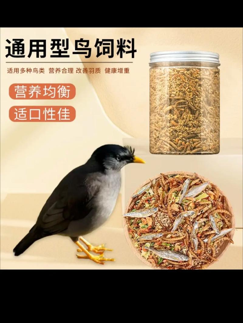 如何饲养才能让八哥换羽后长出光亮的羽毛?
