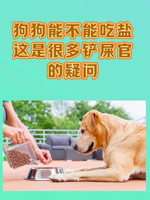 狗狗不能吃带盐的食物吗