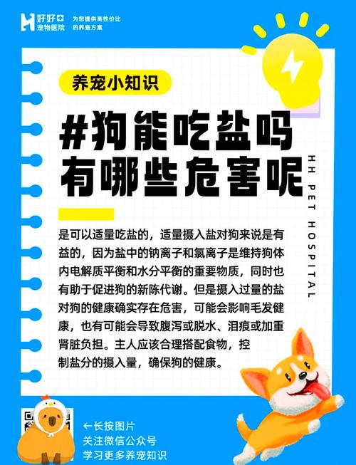狗能不能吃盐的食物(两个月大的狗可以吃盐吗)