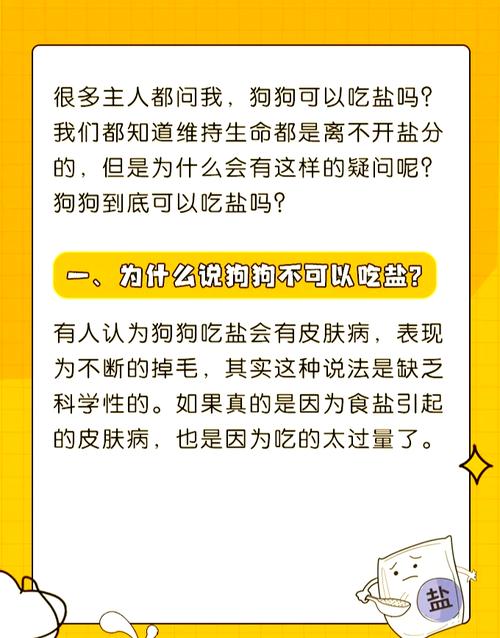 狗狗吃稍微有盐的东西可以不可以