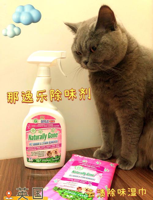 猫咪除臭剂什么牌子好?推荐几款味道清新猫咪除臭剂